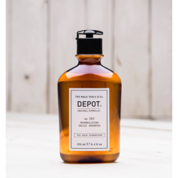 SHAMPOING FREQUENT 250ML DEPOT 101