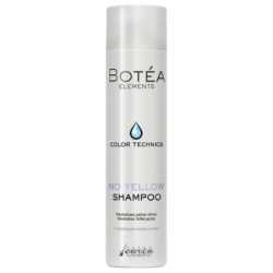 SHAMPOING BOTEA SILVER 250ML