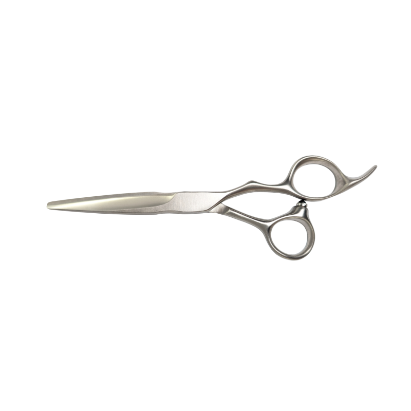 Ciseaux aquarius mashiro 6.0